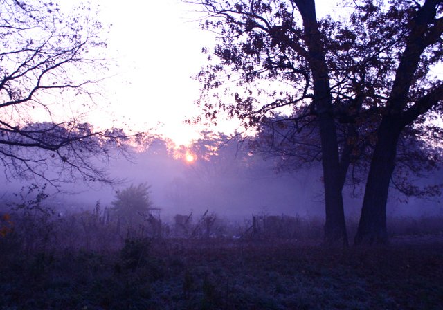 photo 0076.jpg